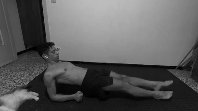 Reverse Plank su gomiti смотреть онлайн