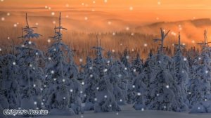 Тихо тихо сказку напевая... Чудесная песня Зимняя сказка