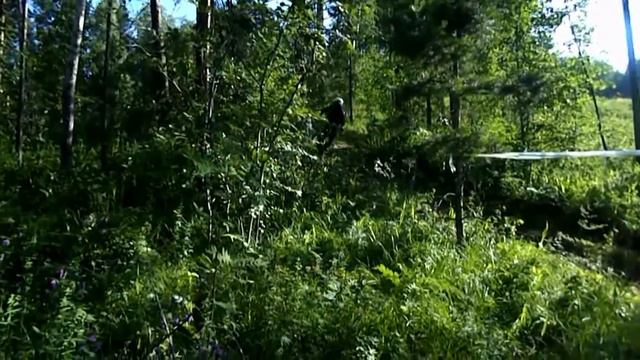 Downhill смотреть онлайн