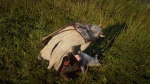 Легендарная ЛИСА в Red Dead Redemption 2. Амулет из лисьей лапы