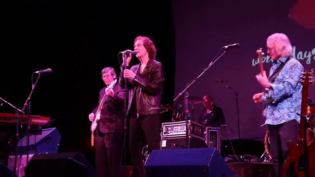 The Zombies - This Will Be Our Year | Odessey & Oracle 50th Anniversary Tour смотреть онлайн