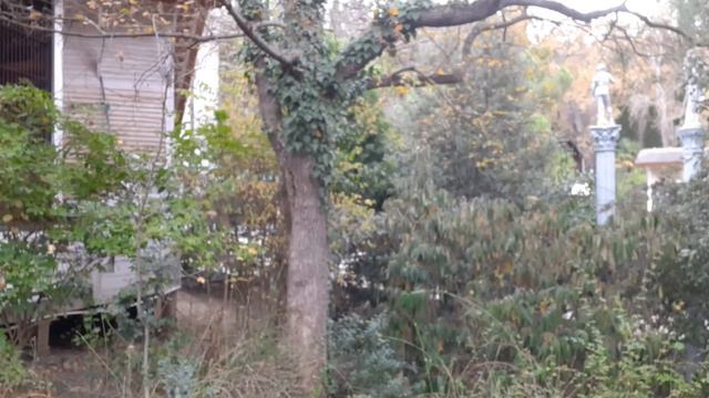 ПЛАНЕТА ОБЕЗЬЯН смотреть онлайн