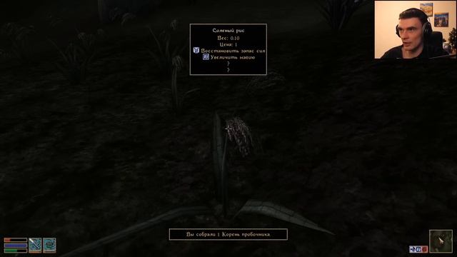 Рекви первый раз в Морровинде // The Elder Scrolls III: Morrowind #1 смотреть онлайн