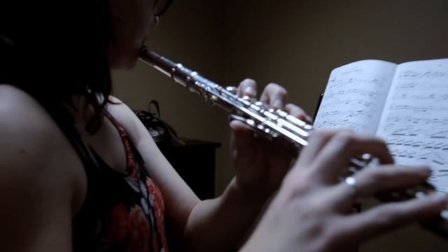 📯Lost Frequencies: Are You With Me? - French Horn Cover смотреть онлайн