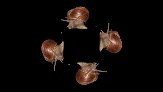 3D Hologram: A Nature Tour - 3D Hologram Projector смотреть онлайн