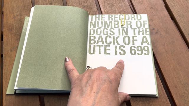 A book with a fabulous future смотреть онлайн
