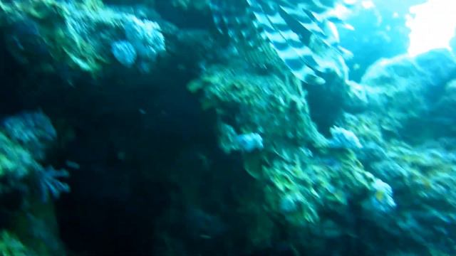 MVI_8657 смотреть онлайн