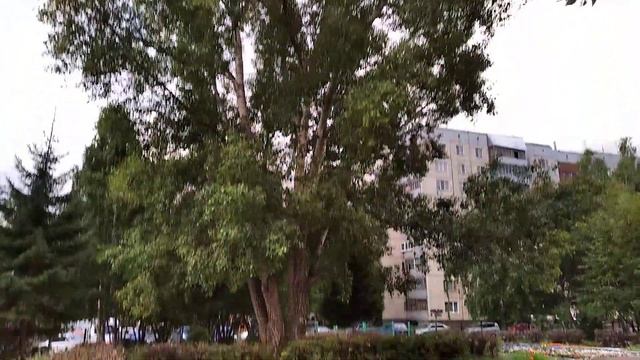 Барнаул, школа №120, пришкольная территория, август 2020 смотреть онлайн