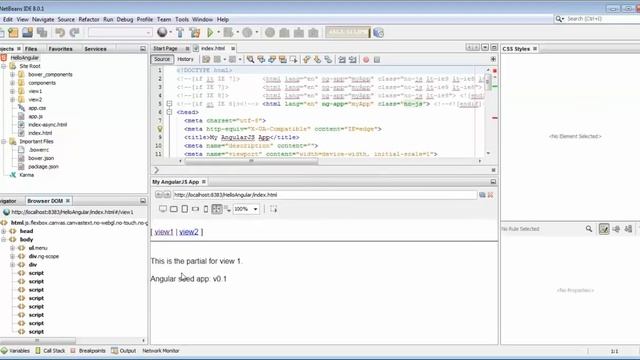 New in NetBeans IDE 8.0.1: Bower and Node.js смотреть онлайн