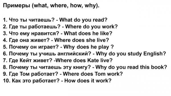 Present Simple Специальные вопросы