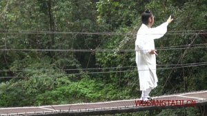 Комплекс Уданского цигун (пять зверей) «Змея» - 蛇形 Snake (Wudang Five Animals Qi Gong)