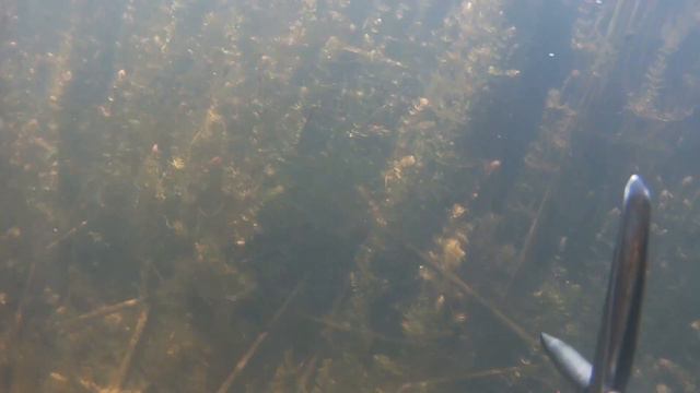 Открытие рыбаловного сезона 2019 смотреть онлайн