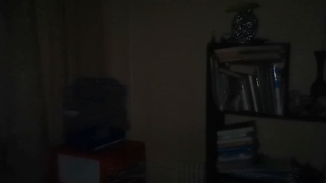 Вызов Духов | Смайл Дог [Smile Dog] (ЖЕСТЬ! УКУСИЛ ЗА НОГУ, СЛОМАЛ ЧАСЫ!) смотреть онлайн