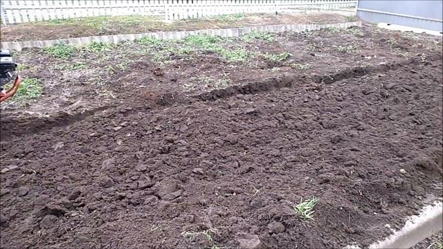Доработал плуг от мотоблока агат, перепахал участок на осень смотреть онлайн