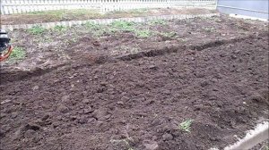 Доработал плуг от мотоблока агат,  перепахал участок на осень