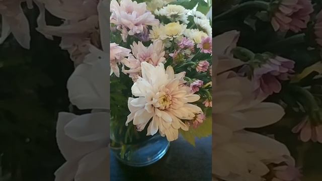 #уланудэ #кафе Цветы кафе Улан-Удэ смотреть онлайн