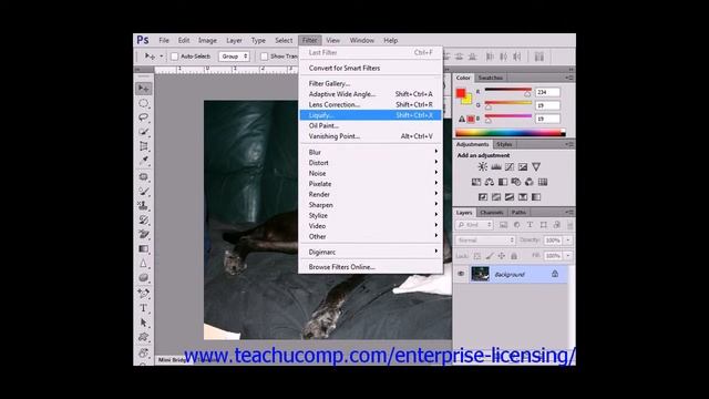 Photoshop CS6 Tutorial The Photoshop Environment Adobe Training смотреть онлайн
