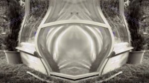 Аdvertising  Реклама Китикет Kitekat   Борис поймал пчелу In G Major 17