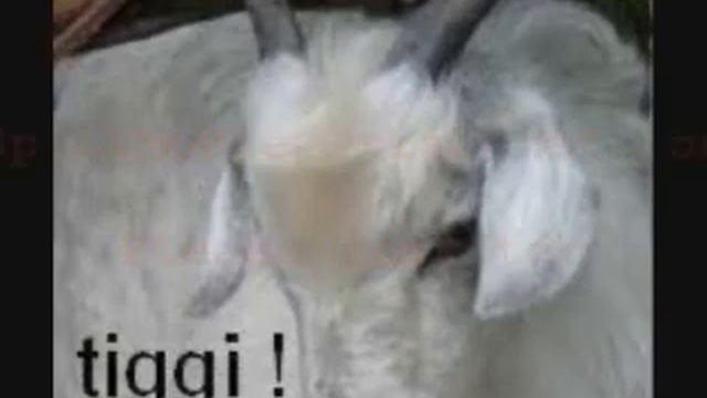 Mario_Ranieri_@_Schranzhell_5_Piano_Club_Trencin_Slovakia_17-11-2007 Part 7/18 смотреть онлайн