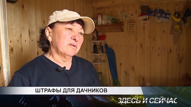 ШТРАФЫ ДЛЯ ДАЧНИКОВ смотреть онлайн