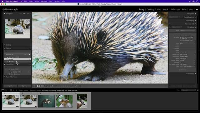 DxO PureRAW 2 - Lightroom Roundtrip, FUJI Support, And More!