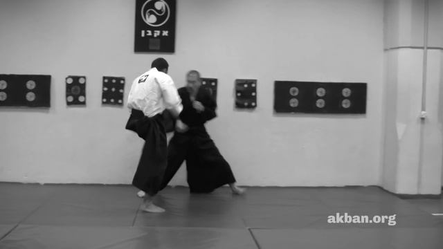 Ran puu, Kukishin ryu Dakentaijutsu - Ninjutsu technique for Akban wiki смотреть онлайн