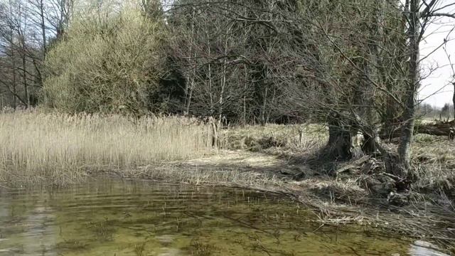Оз. Баторино, Беларусь, 21.04.2020 г. смотреть онлайн