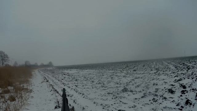 ЛУЧШЕЕ ЗА 6 ЛЕТ ОХОТЫ НА ЗАЙЦА СНЯТЫХ НА КАМЕРУ. ТОП выстрелы по зайцу и лисе смотреть онлайн