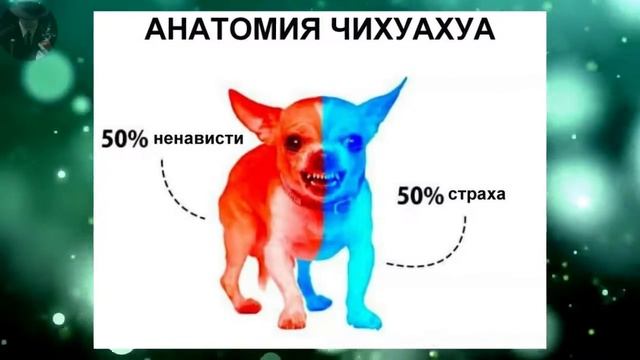 СМЕШНЫЕ КАРТИНКИ ФОТО ПРИКОЛЫ СТОП КАДР FUNNY PICTURES PHOTO FUN FREEZE #20