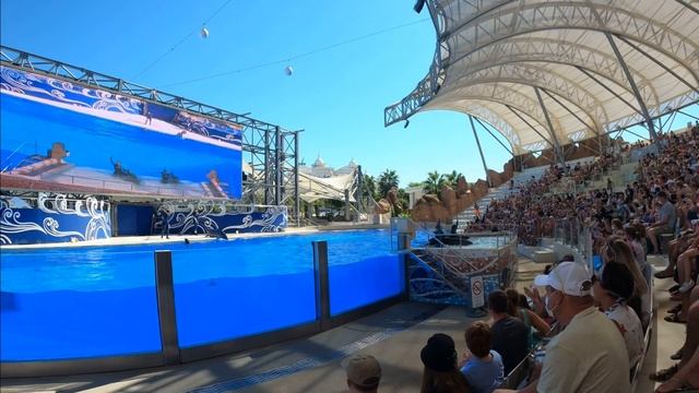 ТУРЦИЯ 2021 / БЕЛЕК / CRYSTAL WATERWORLD RESORT 5 / LAND OF LEGENDS / ДЕЛЬФИНАРИЙ смотреть онлайн