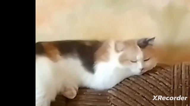 БОЛЬШОЕ ВООБРАЖЕНИЕ 1 СЕЗОН