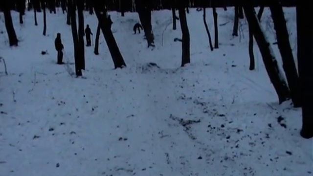 Pion - great jumper!!! смотреть онлайн