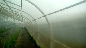 Теплица без фундамента