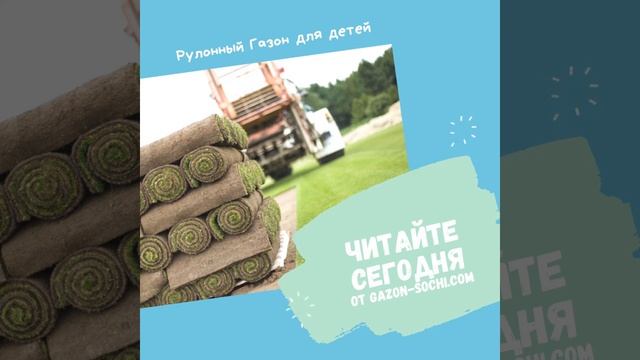 Газон для детской площадки Сочи. Ландшафтный дизайн. Газон Сочи. Автополив Сочи. смотреть онлайн