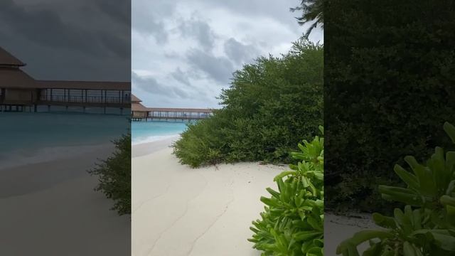 Медитация наполнения энергетической силы⚡️ смотреть онлайн