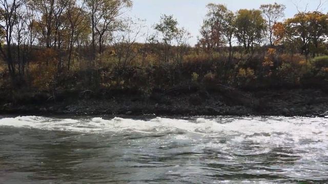 SUP СПЛАВ по реке Сучан 2020.10.11 смотреть онлайн