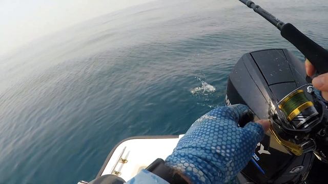 Трофейная Рыбалка в Море смотреть онлайн