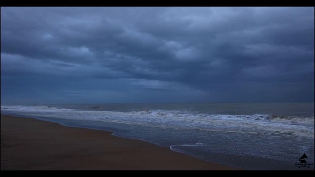 Vangelis. Bon Voyage - Dreams Of Surf