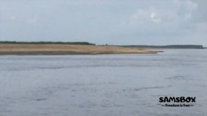 РЫБАЛКА НА ОСЕТРА НА СЕТИ