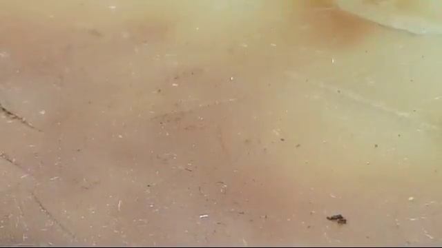 Как Снять Модем Iphone 5s. Краткая Инструкция смотреть онлайн