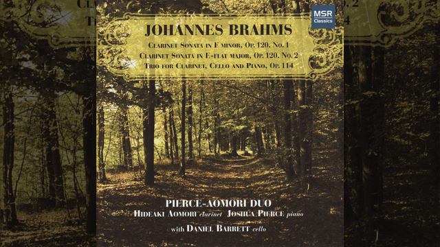 Clarinet Sonata No. 2 in E-Flat Major, Op. 120/2: II. Allegro смотреть онлайн