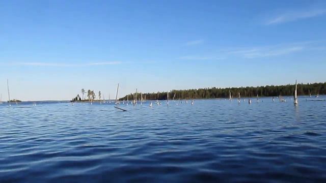 Жуть жутьчайшая смотреть онлайн