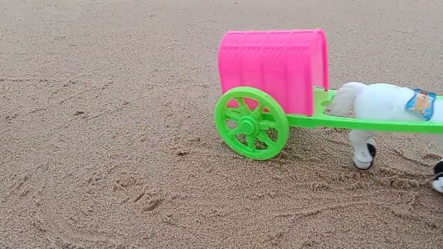 bull Cort, mini bull cow, and mini horse vehicle, and mini john deere tractors смотреть онлайн