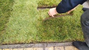 Самый простой и бюджетный способ Как постелить рулонный газон