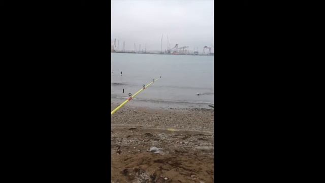 Ловля крупных кефалей на Каспии. Наживка морской червь (нереис) - Сархан смотреть онлайн