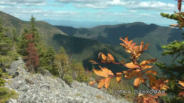 Приморский сон