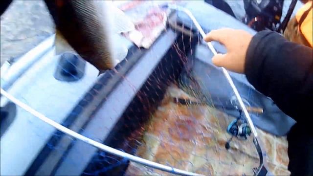 Ленинградская обл.рыбалка СУДАКИ и НАЛИМЫ на Джиг в ИЮЛЕ .2019. смотреть онлайн