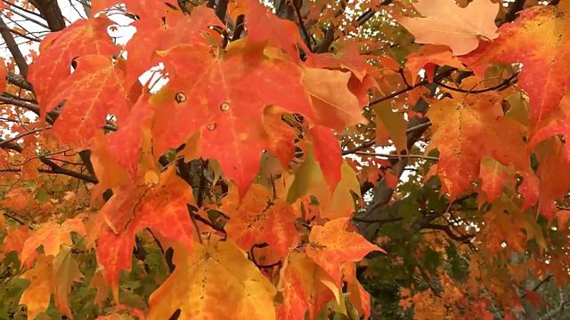 БЫЛО И ПРОШЛО смотреть онлайн