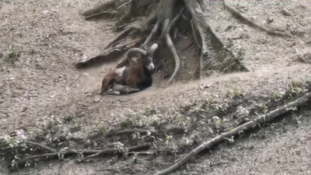 Буйничи часть 2 2022 смотреть онлайн