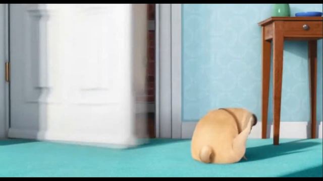 Тайная жизнь домашних животных/The secret life of pets смотреть онлайн